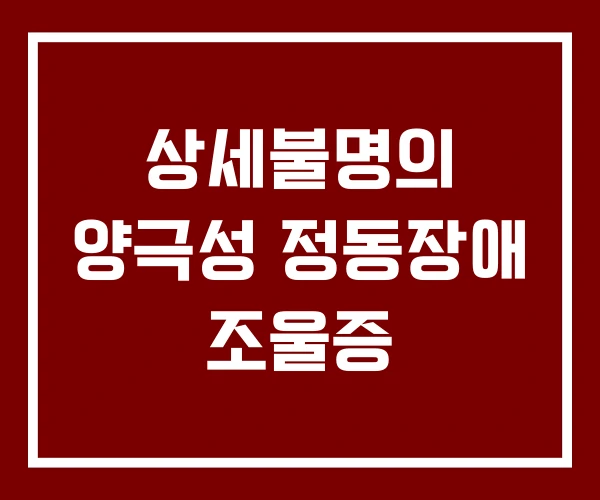 상세불명의 양극성 정동장애 조울증
