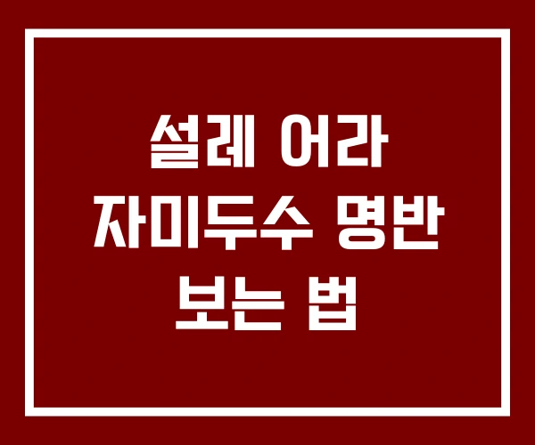 설레 어라 자미두수 명반 보는 법
