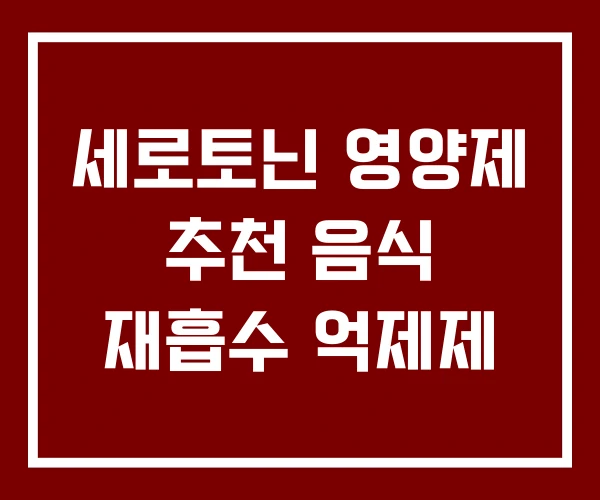 세로토닌 영양제 추천 음식 재흡수 억제제