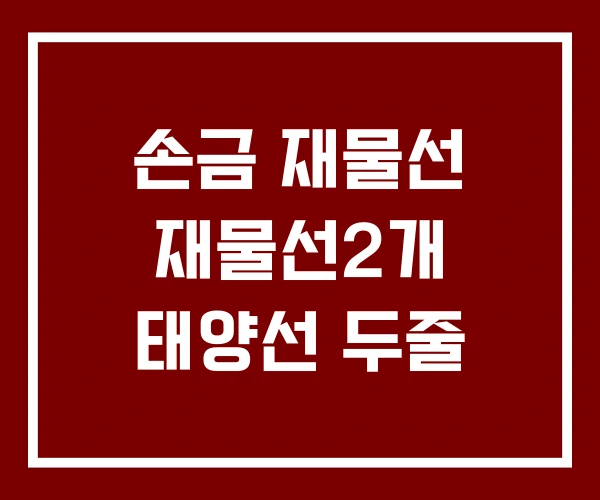 손금 재물선 재물선2개 태양선 두줄