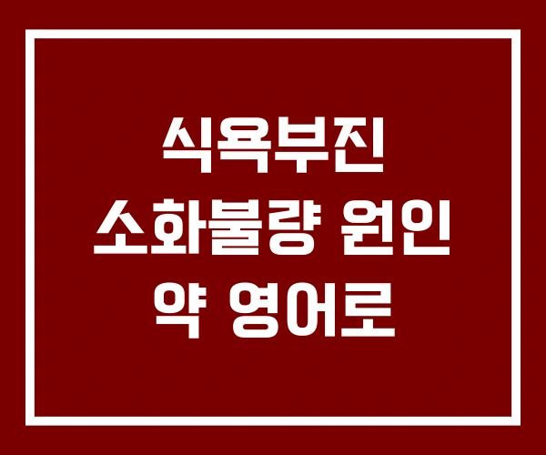 식욕부진 소화불량 원인 약 영어로
