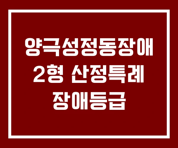 양극성정동장애 2형 산정특례 장애등급