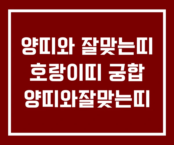양띠와 잘맞는띠 호랑이띠 궁합 양띠와잘맞는띠 양띠와 잘맞는띠 호랑이띠 궁합 양띠와잘맞는띠