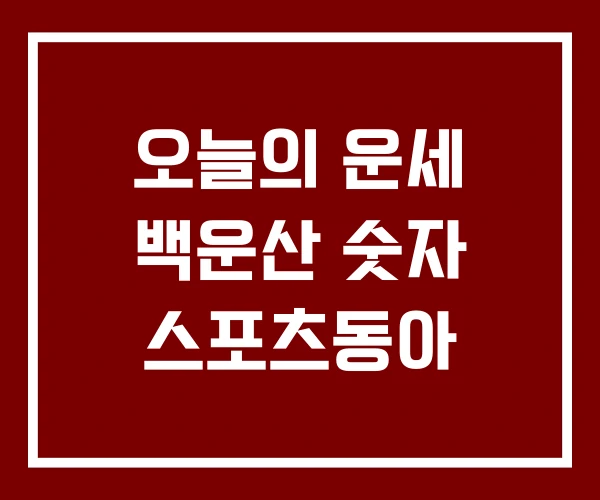오늘의 운세 백운산 숫자 스포츠동아
