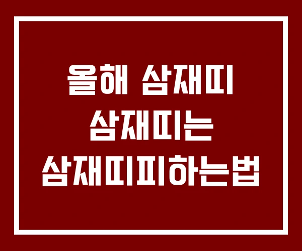올해 삼재띠 삼재띠는 삼재띠피하는법