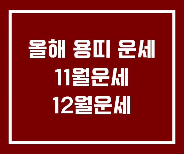 올해 용띠 운세 11월운세 12월운세
