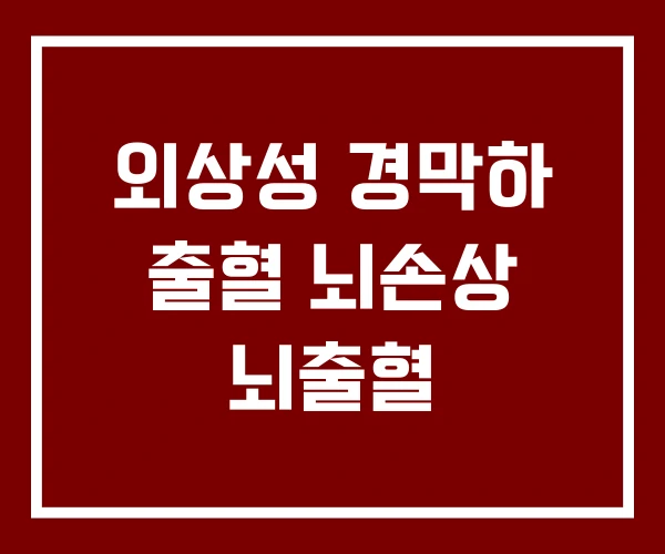 외상성 경막하 출혈 뇌손상 뇌출혈