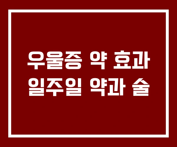 우울증 약 효과 일주일 약과 술