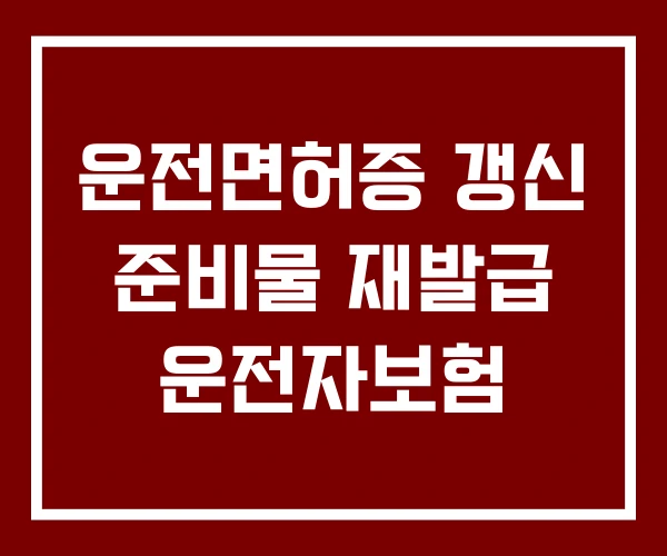 운전면허증 갱신 준비물 재발급 운전자보험 운전면허증 갱신 준비물 재발급 운전자보험