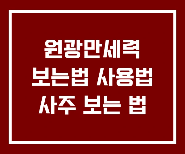 원광만세력 보는법 사용법 사주 보는 법 원광만세력 보는법 사용법 사주 보는 법
