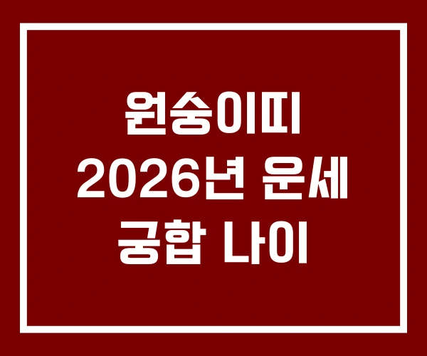 원숭이띠 2026년 운세 궁합 나이