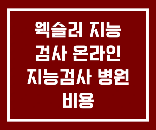웩슬러 지능 검사 온라인 지능검사 병원 비용