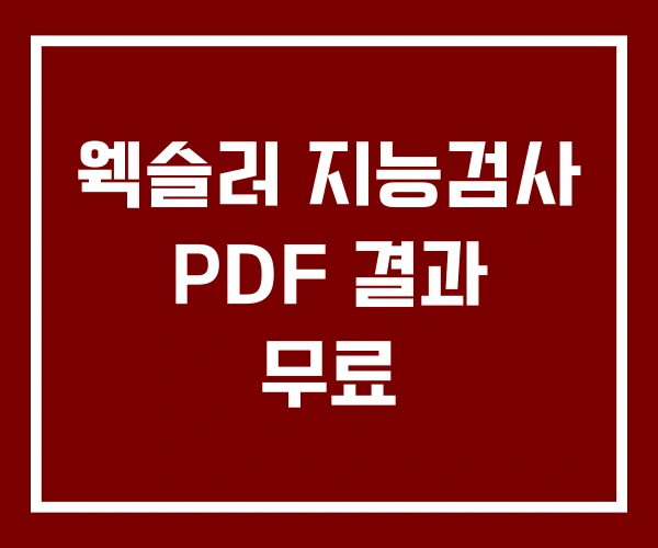 웩슬러 지능검사 PDF 결과 무료