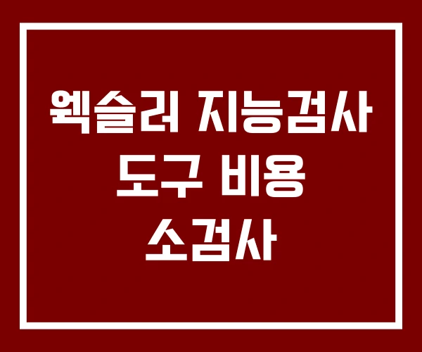 웩슬러 지능검사 도구 비용 소검사 웩슬러 지능검사 도구 비용 소검사