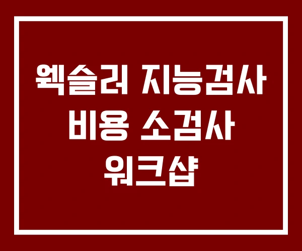 웩슬러 지능검사 비용 소검사 워크샵 웩슬러 지능검사 비용 소검사 워크샵