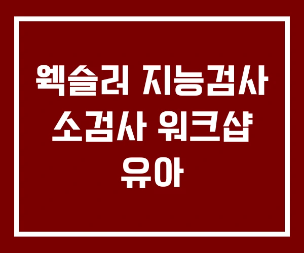 웩슬러 지능검사 소검사 워크샵 유아 웩슬러 지능검사 소검사 워크샵 유아