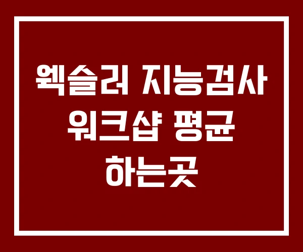 웩슬러 지능검사 워크샵 평균 하는곳