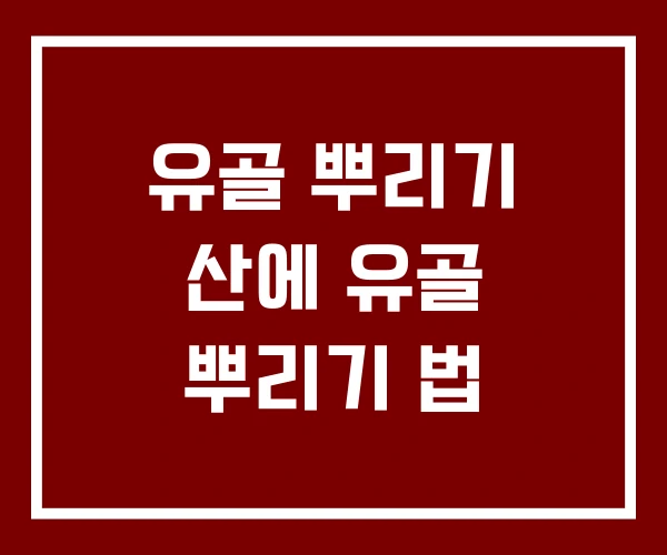 유골 뿌리기 산에 유골 뿌리기 법