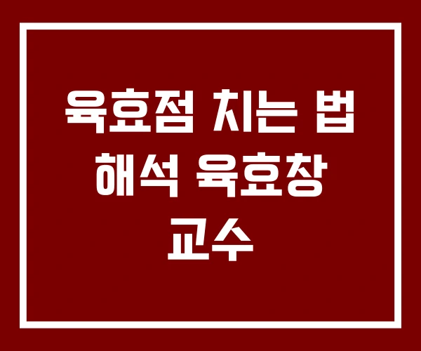 육효점 치는 법 해석 육효창 교수 육효점 치는 법 해석 육효창 교수