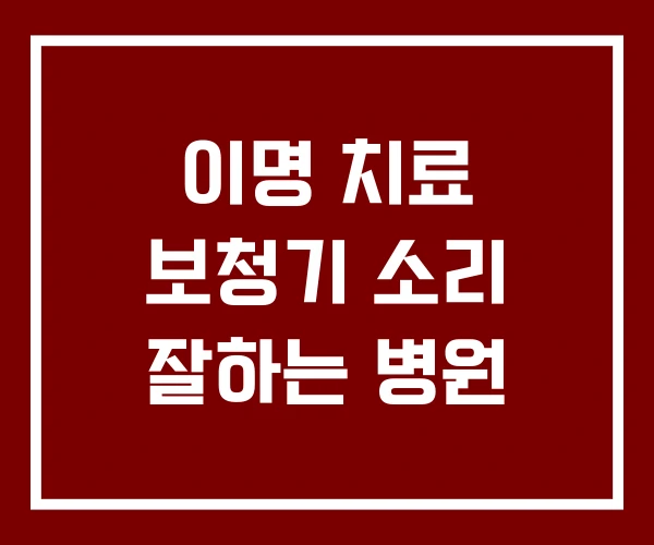 이명 치료 보청기 소리 잘하는 병원 이명 치료 보청기 소리 잘하는 병원
