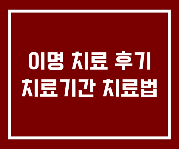 이명 치료 후기 치료기간 치료법 이명 치료 후기 치료기간 치료법