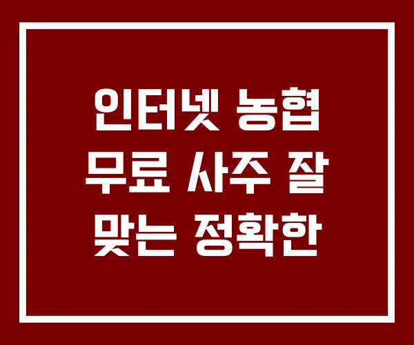 인터넷 농협 무료 사주 잘 맞는 정확한