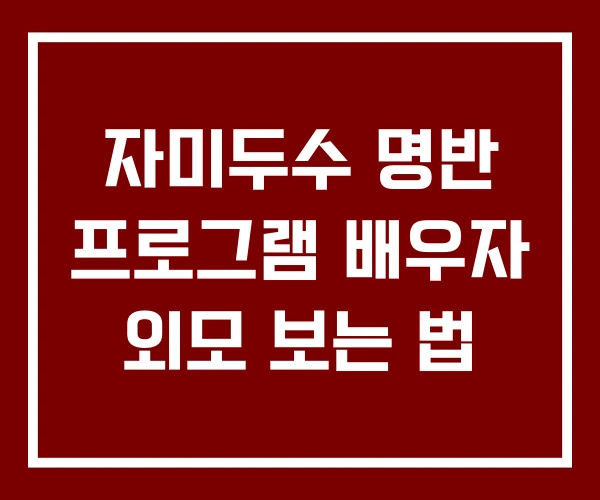 자미두수 명반 프로그램 배우자 외모 보는 법