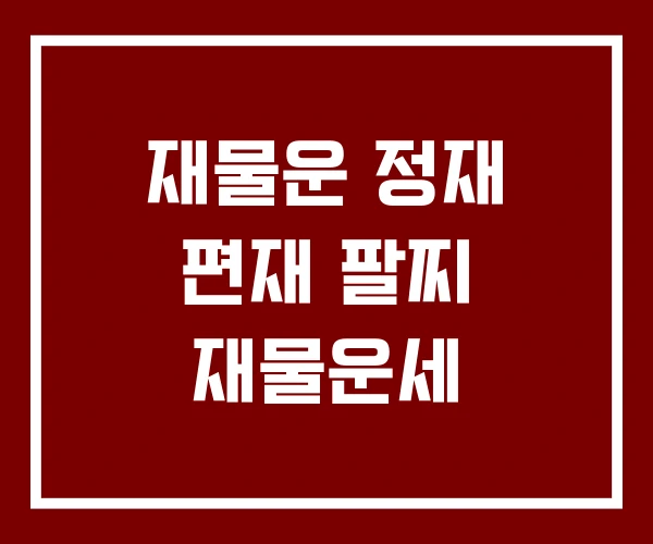 재물운 정재 편재 팔찌 재물운세 재물운 정재 편재 팔찌 재물운세
