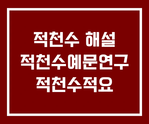 적천수 해설 적천수예문연구 적천수적요