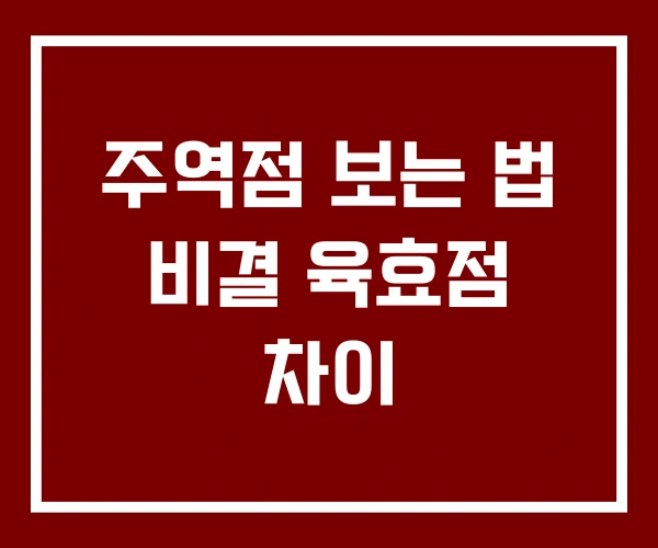 주역점 보는 법 비결 육효점 차이