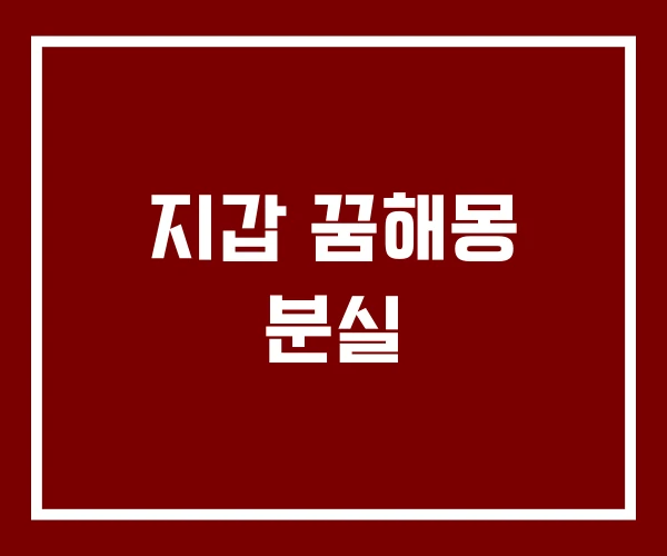 지갑 꿈해몽 분실