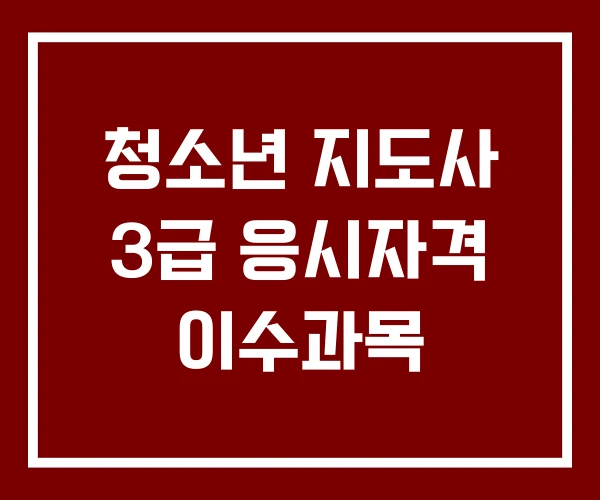 청소년 지도사 3급 응시자격 이수과목