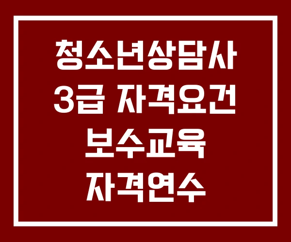 청소년상담사 3급 자격요건 보수교육 자격연수 청소년상담사 3급 자격요건 보수교육 자격연수