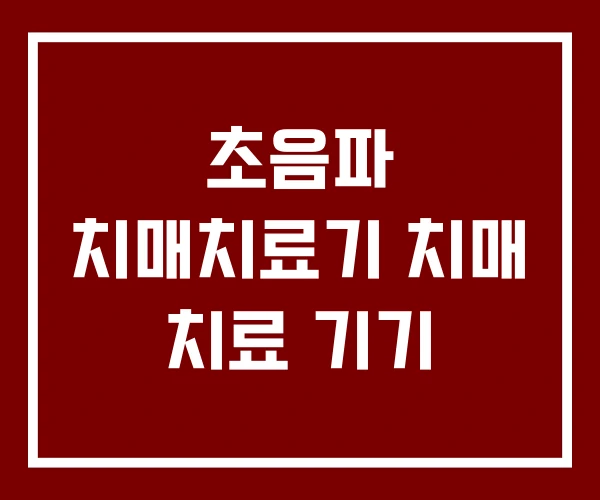 초음파 치매치료기 치매 치료 기기