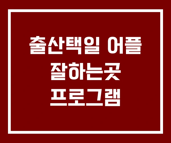 출산택일 어플 잘하는곳 프로그램