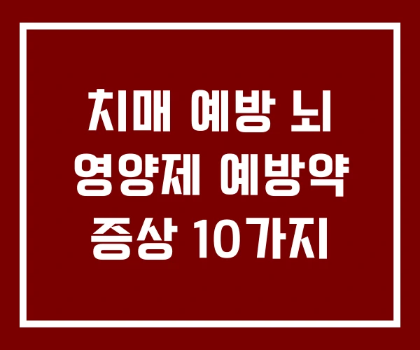 치매 예방 뇌 영양제 예방약 증상 10가지 치매 예방 뇌 영양제 예방약 증상 10가지