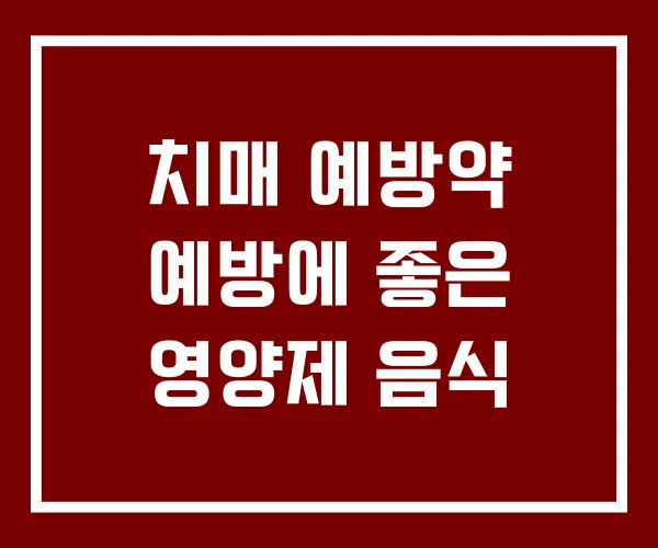 치매 예방약 예방에 좋은 영양제 음식