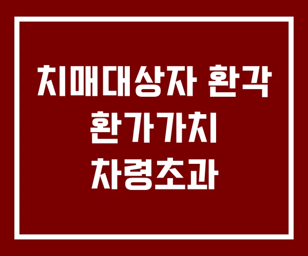 치매대상자 환각 환가가치 차령초과