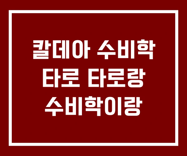 칼데아 수비학 타로 타로랑 수비학이랑