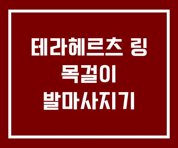 테라헤르츠 링 목걸이 발마사지기
