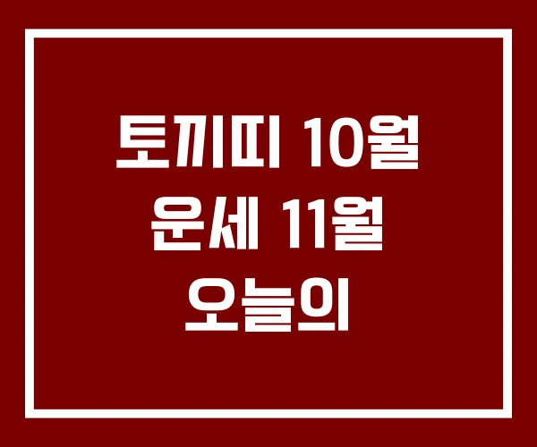 토끼띠 10월 운세 11월 오늘의