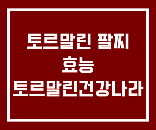 토르말린 팔찌 효능 토르말린건강나라