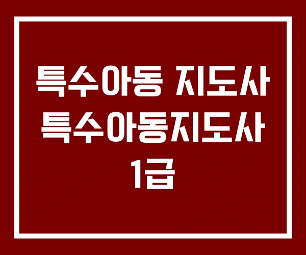 특수아동 지도사 특수아동지도사 1급 특수아동 지도사 특수아동지도사 1급