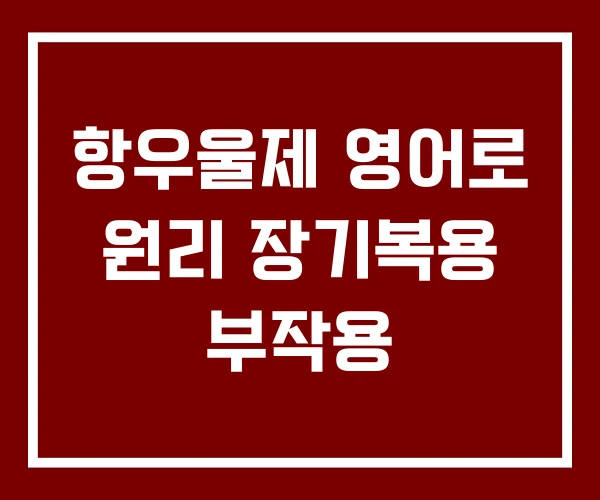 항우울제 영어로 원리 장기복용 부작용 항우울제 영어로 원리 장기복용 부작용